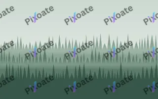 Misty Fir Morning — light grey and green forest background