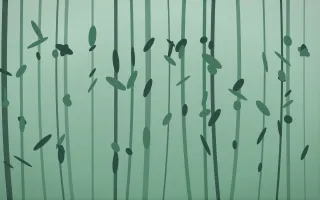 Ancient Pine Mist — dark green forest background