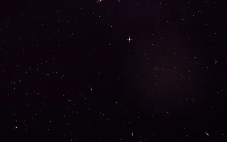Rosette Bloom Deep Field — dark black, pink and red galaxy background
