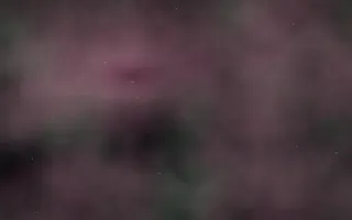 Rosette Spring Nebula — dark black, green and pink galaxy background