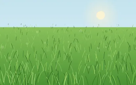 Fresh Spring Lawn — colourful green grass background