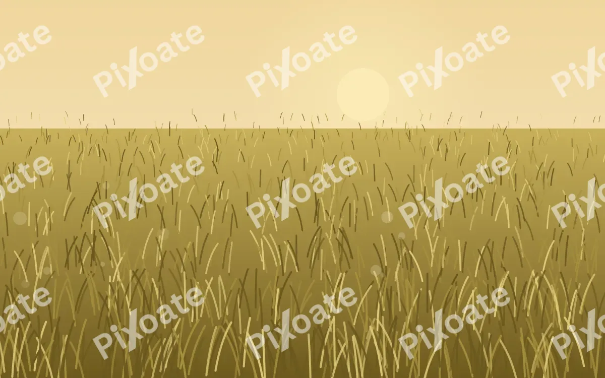Golden Field Golden Field — colourful gold, brown and yellow grass background