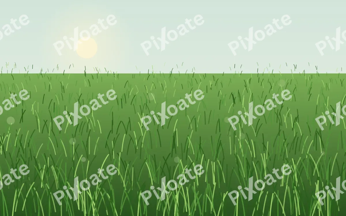 Morning Dew Morning Dew — colourful green grass background