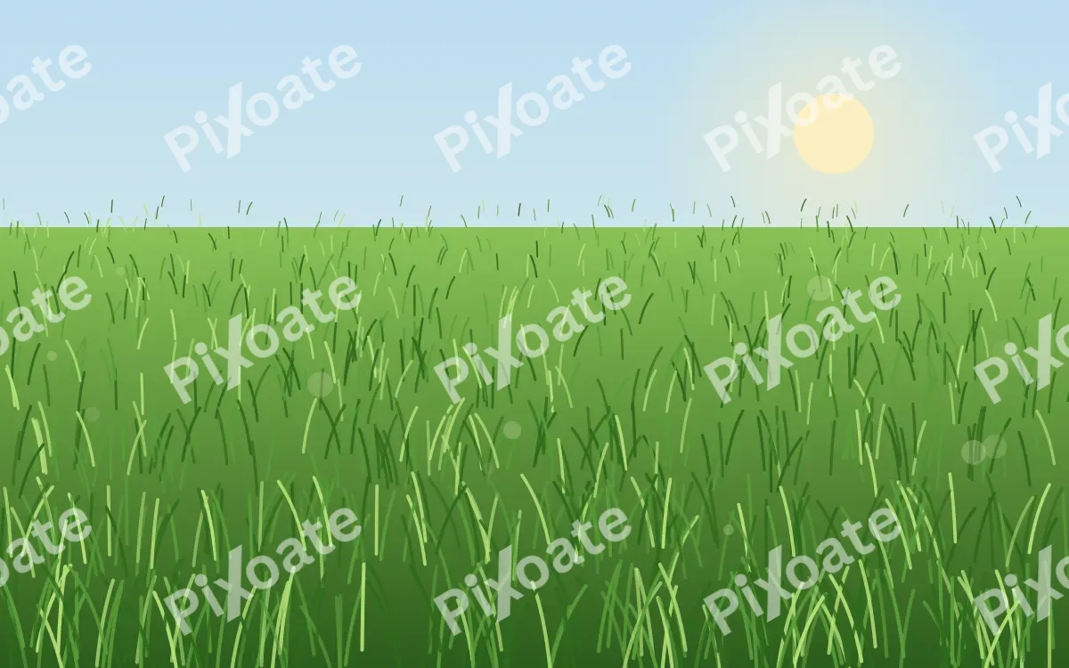 Summer Meadow — colourful green and blue grass background
