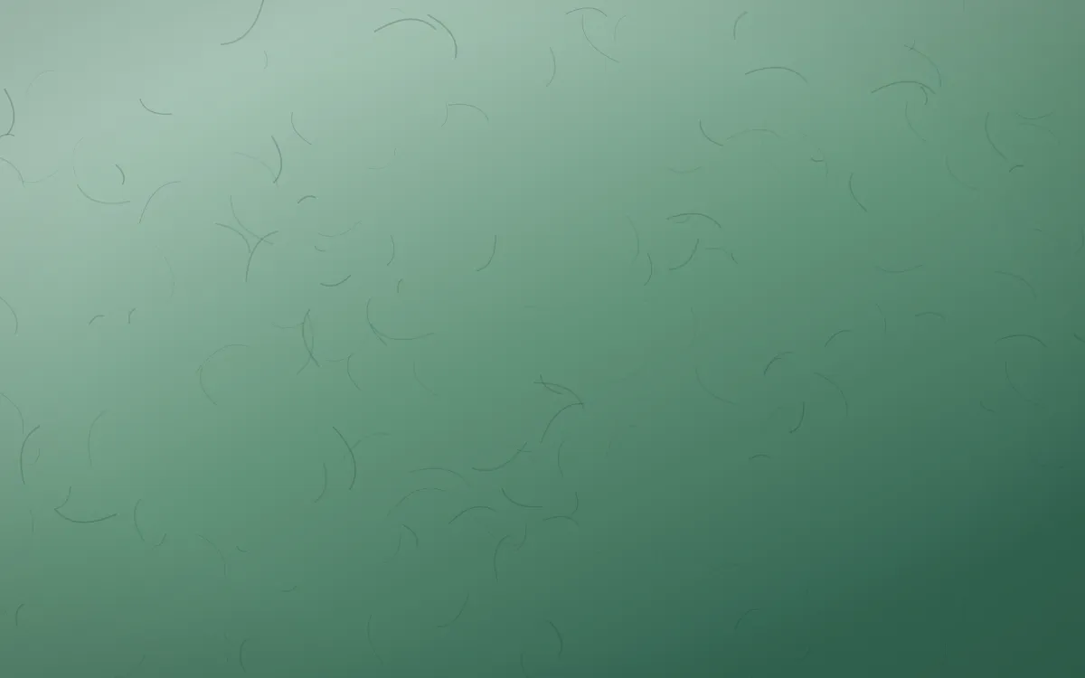 Emerald Mist Handmade Paper — dark green handmade paper background