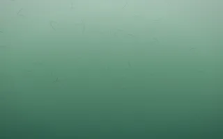 Emerald Mist Handmade Paper V — dark green handmade paper background, variation V