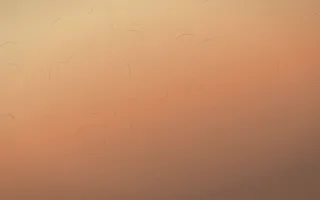 Golden Hour Handmade Paper II — colourful orange and pink handmade paper background, variation II