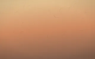 Golden Hour Handmade Paper IV — colourful orange and pink handmade paper background, variation IV