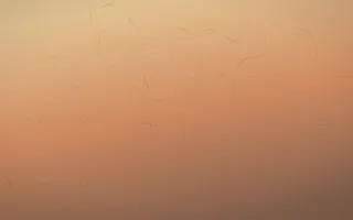 Golden Hour Handmade Paper VIII — colourful orange and pink handmade paper background, variation VIII