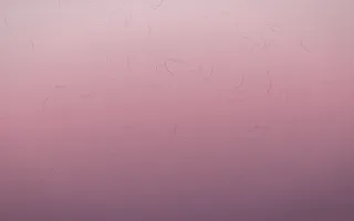 Rose Dusk Handmade Paper IX — colourful red, pink and purple handmade paper background, variation IX