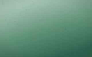 Handmade Paper Signature — dark green handmade paper background