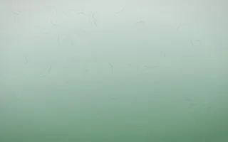 Spring Rain Handmade Paper IX — light white and green handmade paper background, variation IX
