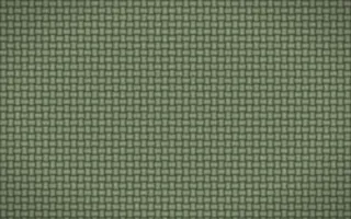 Sage Weave — colourful green jute background