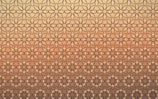 Golden Hour Lace IV — colourful orange and pink lace background, variation IV