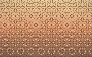 Golden Hour Lace X — colourful orange and pink lace background, variation X