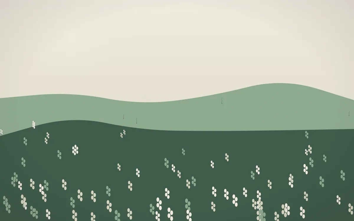First Light Lavender Field — light beige and green lavender field background