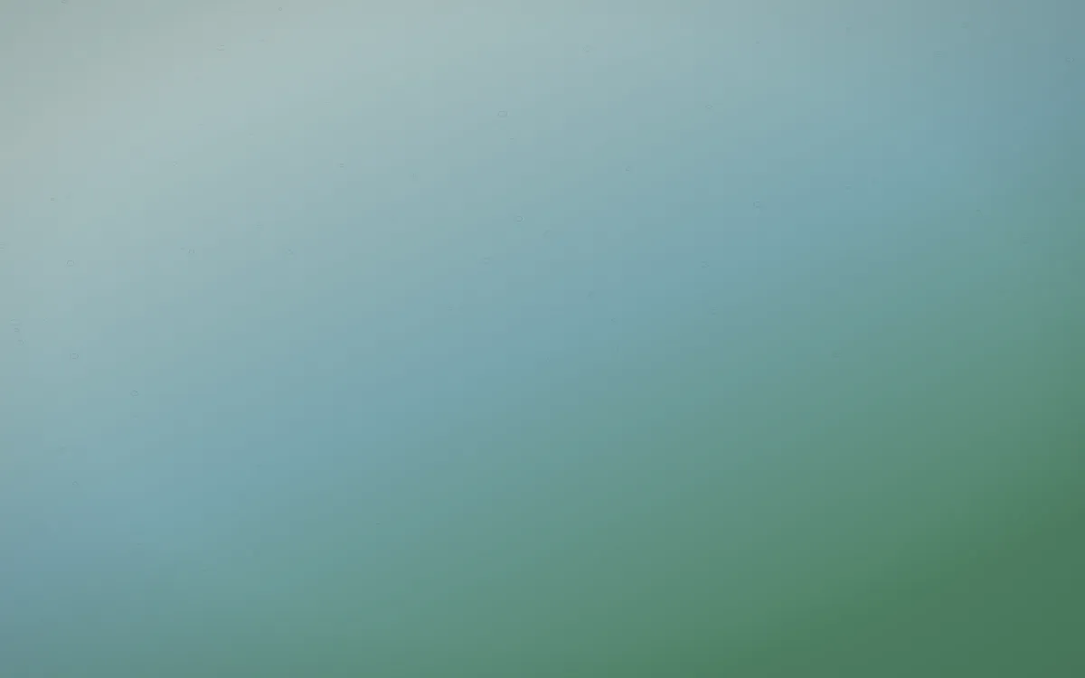 Clear Day Leather — light blue and green leather background