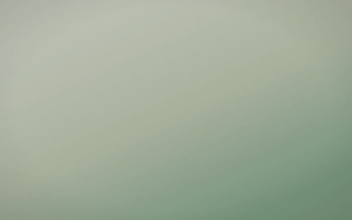 First Light Leather — light beige and green leather background