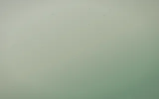 First Light Leather — light beige and green leather background