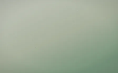 First Light Leather — light beige and green leather background
