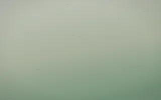First Light Leather III — light beige and green leather background, variation III