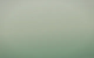 First Light Leather IV — light beige and green leather background, variation IV