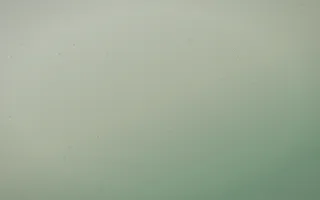 First Light Leather VI — light beige and green leather background, variation VI
