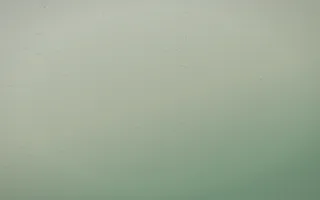 First Light Leather VII — light beige and green leather background, variation VII