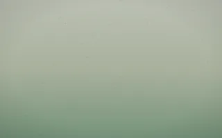 First Light Leather X — light beige and green leather background, variation X