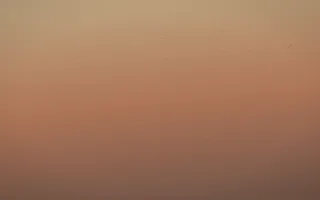 Golden Hour Leather IV — colourful orange and pink leather background, variation IV