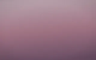 Rose Dusk Leather IX — colourful red, pink and purple leather background, variation IX