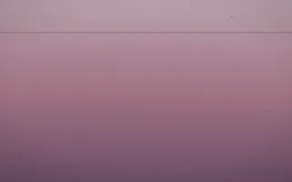 Rose Dusk Leather V — colourful red, pink and purple leather background, variation V