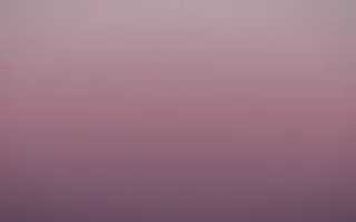 Rose Dusk Leather X — colourful red, pink and purple leather background, variation X