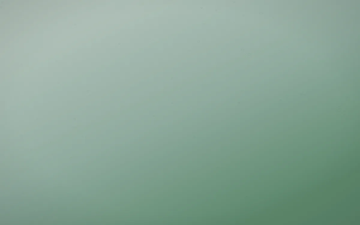 Spring Rain Leather — light white and green leather background