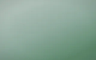 Spring Rain Leather — light white and green leather background