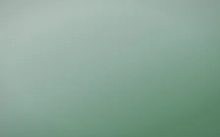 Spring Rain Leather — light white and green leather background