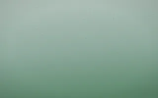 Spring Rain Leather IX — light white and green leather background, variation IX
