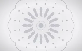 Porcelain Ink Quiet Radial — light white and grey mandala background