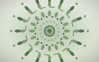 Sage Serenity Mandala III — light green and white mandala background, variation III