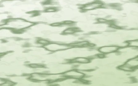 Bamboo Mist Veined Marble — light white and green marble background