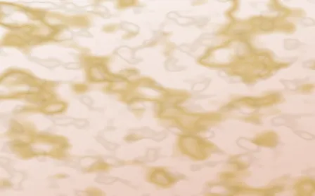 Budapest Rose Gold-Vein Marble — light white, gold and orange marble background