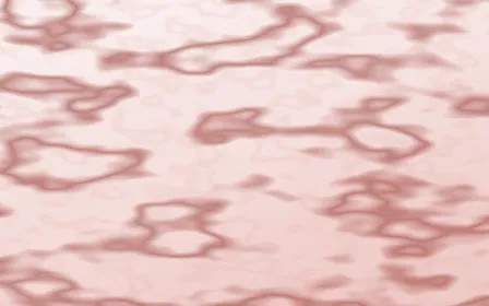 Damascus Rose Veined Marble — light white and red marble background