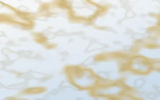 Delft Blue Gold-Vein Marble — light white, gold and blue marble background