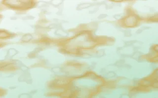Havana Mint Gold-Vein Marble — light white, gold and green marble background