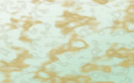 Jade Dynasty Gold-Vein Marble — light white, gold and green marble background