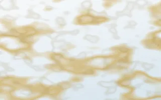 Lapland Snow Gold-Vein Marble — light white, gold and blue marble background