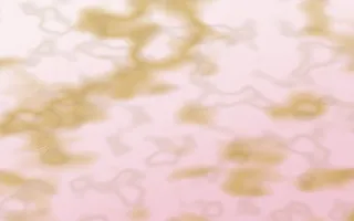 Lotus Siam Gold-Vein Marble — light white, gold and pink marble background