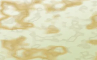 Matcha House Gold-Vein Marble — light white, gold and green marble background