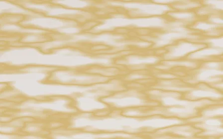 Dove Mist Gilded — light grey and gold marble background