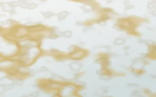 Pacific Fog Gold-Vein Marble — light white, gold and grey marble background
